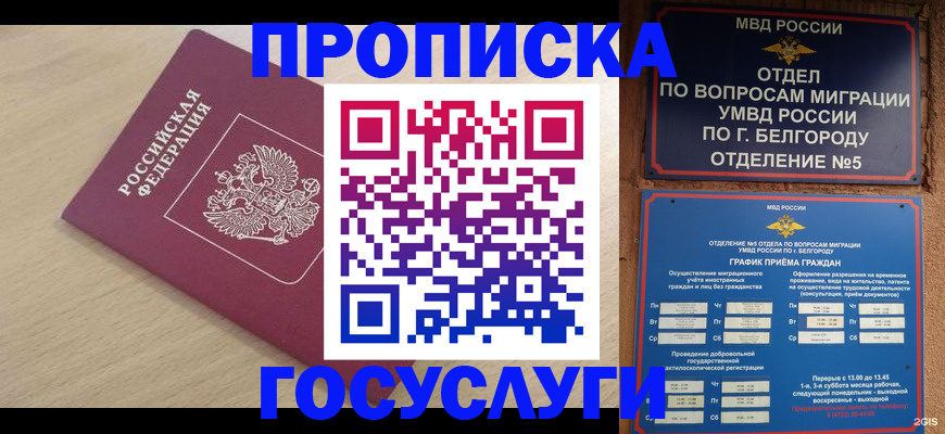 прописка законно в Брянской области